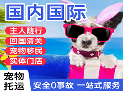 漠河空运地址国际宠物托运 【国